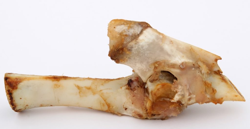 Can Meat Grinders Grind Bone