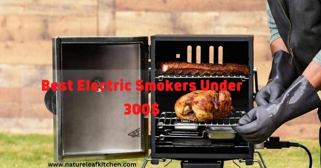 best electric smokers under 300