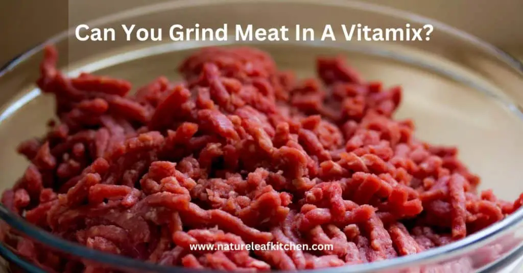 can you grind meat in a vitamix