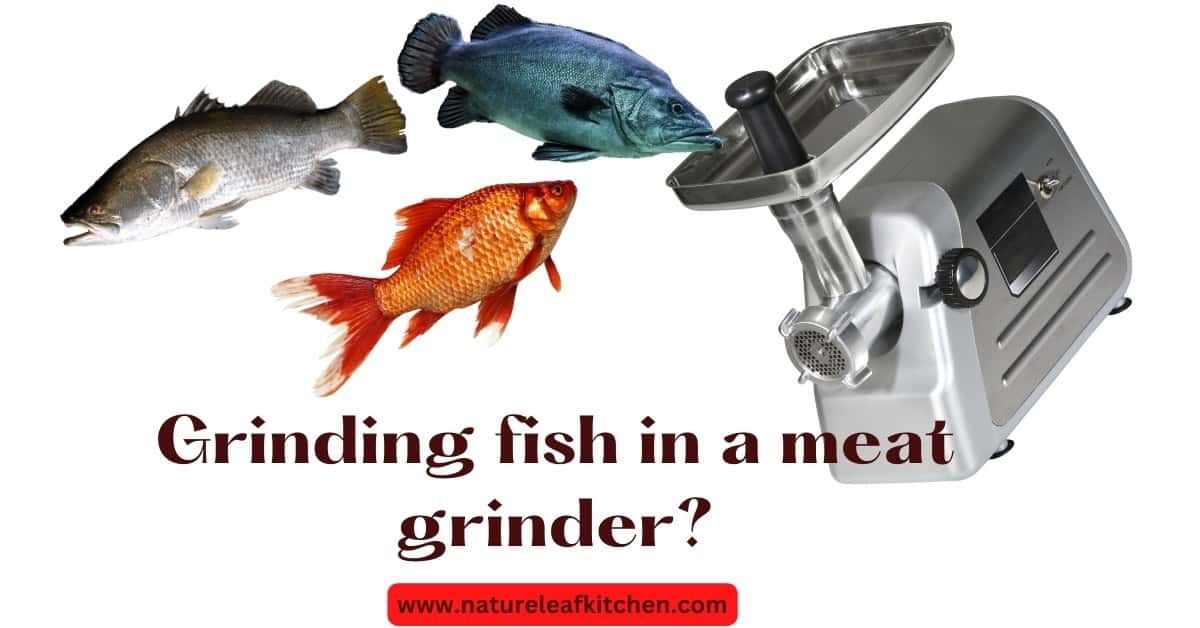 can you grind fish in a meat grinder