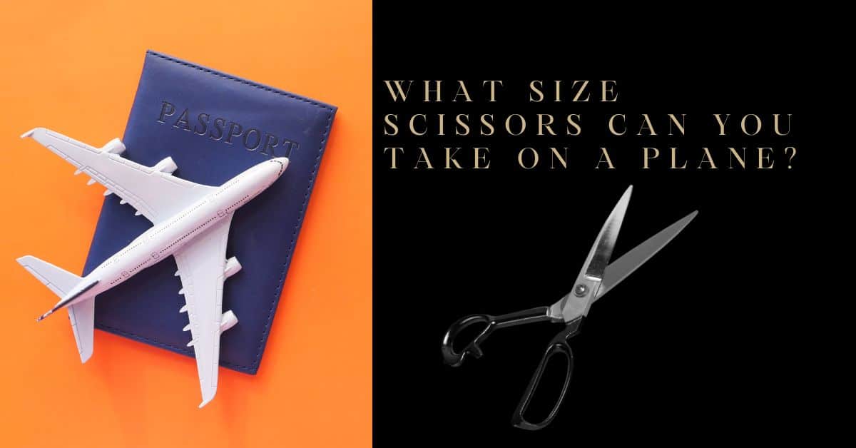 Can You Bring Scissors On A Plane? A Complete Guide NATURE LEAF KITCHEN