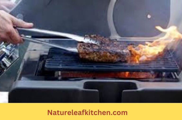 Are Infrared Grills Worth It A Comprehensive Guide For 2024 NATURE