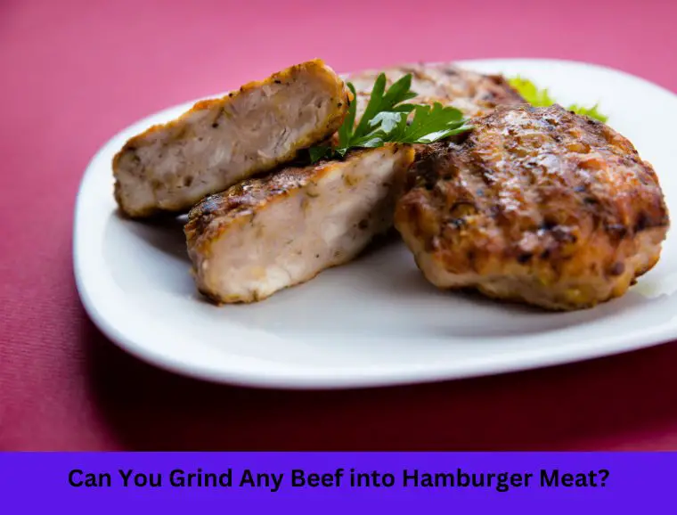 Can You Grind Any Beef into Hamburger Meat?