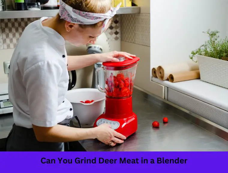 Can You Grind Deer Meat in a Blender