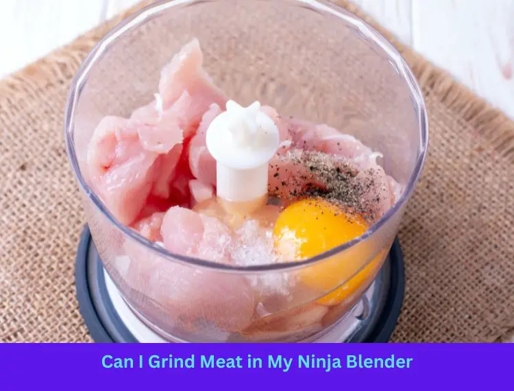 Can I Grind Meat in My Ninja Blender