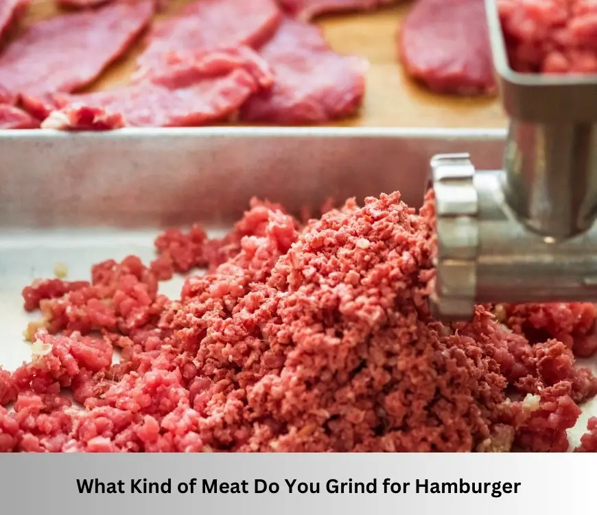 What Kind of Meat Do You Grind for Hamburger