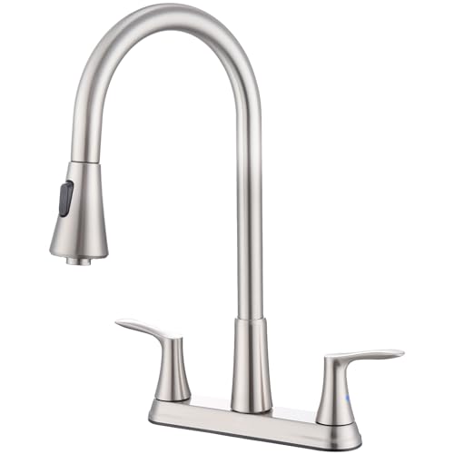 HOMELODY 2 Handles Kitchen Faucet with Pull Down Sprayer