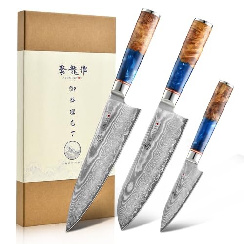Japanese Chef Knife Set 3 Pcs, 67-Layer Damascus Kitchen Knife Set with VG10 Steel Core